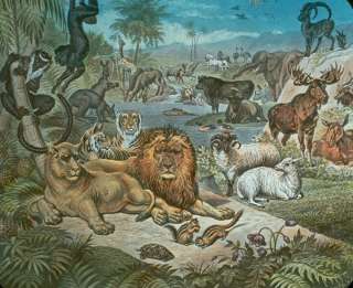 �������� ��������