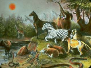 ������ ����, ��� �����