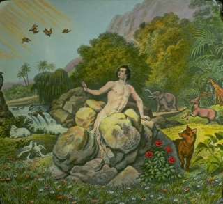 ������� ���� ����� �����