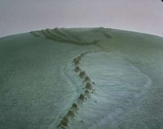 ��������� ����