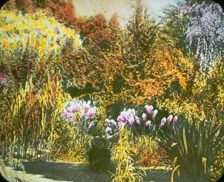 ������ � �������