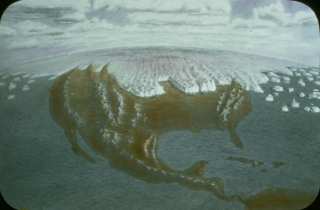 ���������� ������ � ����� ���