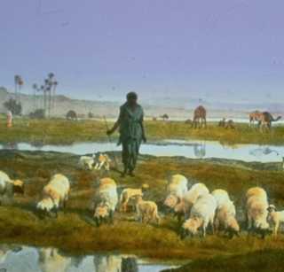 ����� ������ �� ������