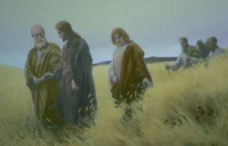 ������ � �������