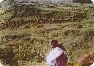 �������, ������������ � �����